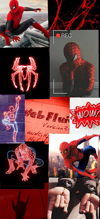 Spiderman, red, peterparker, marvel HD phone wallpaper