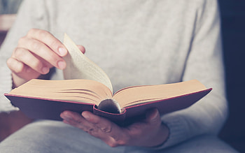 book in hands, book reading, book pages, reading concepts, library, books HD wallpaper