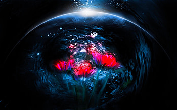 THE DEPTH, Cg, art, blossoms, underwater, dept, water, ocean HD wallpaper