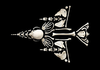 Bone Jet, bones, white, black, abstract, skull HD wallpaper