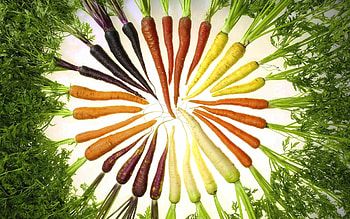 Food, Background, Vegetables HD wallpaper