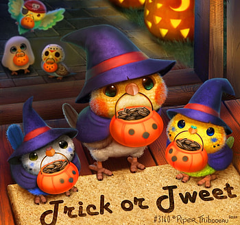 :), bird, halloween, fantasy, cute, piper thibodeau, funny, candy HD wallpaper