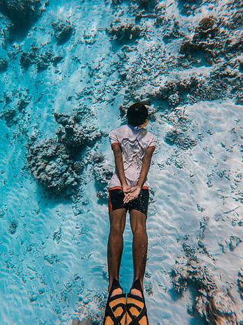 Sports, Water, Sand, Diver, Reefs, Bottom, Diving HD phone wallpaper