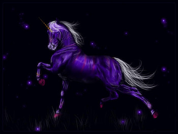 MYSTERIES OF THE NIGHT, night, colorful, fantasy, mysteries, unicorn HD wallpaper