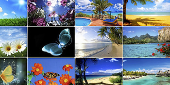 Spring/Summer, sea, sand, beaches, spring, summer, butterflies, trees, flowers, sky, mountains, water, sun HD wallpaper