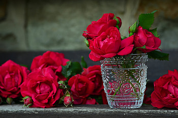 Flowers, Roses, Petals, Bouquet, Vase HD wallpaper