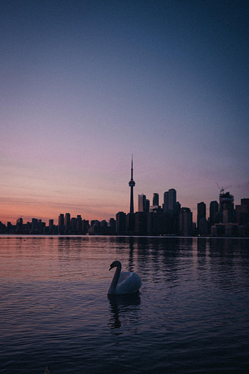 Sunset, City, Building, Miscellanea, Miscellaneous, Tower, Swan HD phone wallpaper