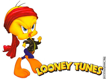 tweety bird karatéka, looney tunes HD wallpaper