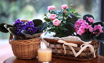 Flowers, Roses, Violet, Bloom, Flowering, Glass, Basket, Drink, Beverage, Baskets HD wallpaper