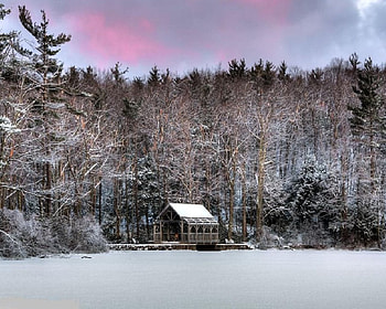 Moore State Park in Winter, winter, moore, state, park HD wallpaper