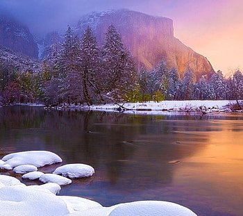Winter River, winter, river, snowy, pine trees, landscape, forest, mountain HD wallpaper