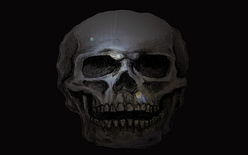 Skull Computer Background And Animated GIF HD wallpaper