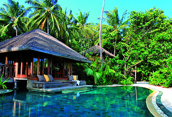 Serene Tropical Pool, island, blue, palm, tropical, trees, private, islands, swimming, escape, luxury, alone, exotic, hotel, paradise, villa, retreat, south pacific, green, spa, pool, polynesia HD wallpaper