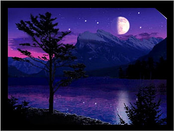 Moonlight Lake, night, silhouette trees, reflection, moonlight, stars, lake HD wallpaper