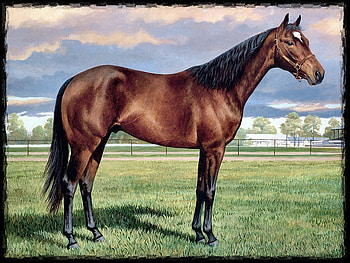 Bright Promise - Horse F1, horse, art, bay, thorobred, weirs, painting, equine, pasture, persis weirs, thoroughbred, persis clayton weirs HD wallpaper