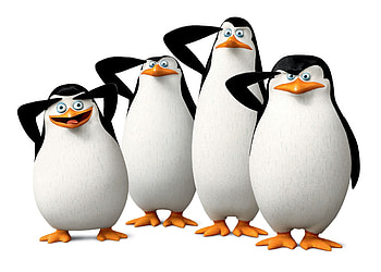 Penguins Of Madagascar, madagascar, salute, penguins, bird HD wallpaper