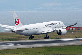 Japan Airlines, Bird liveries, Tsurumaru logo, Aviation community HD wallpaper