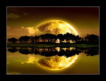 Moon_reflection, mirror, moon, forest, lake HD wallpaper