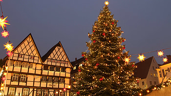 tree , Festive season, Christmas spirit, Holiday cheer HD wallpaper
