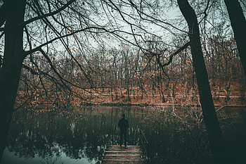 Nature, Water, Rivers, Trees, Autumn, Privacy, Seclusion, Loneliness, Pond HD wallpaper