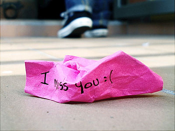 True Love, true, funny, , love HD wallpaper
