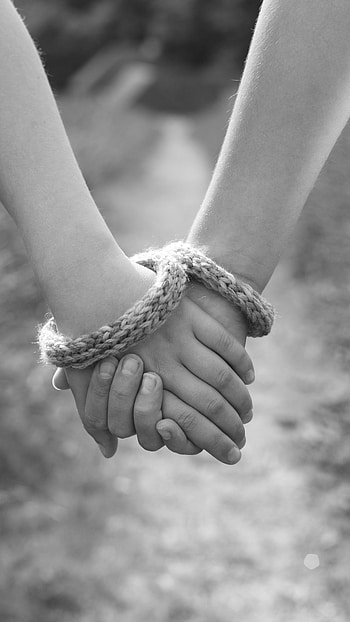 Friendship Live, Handshake HD phone wallpaper