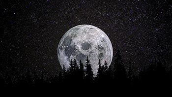 Black Moon Over Silent Forest, nature, black, moon HD wallpaper