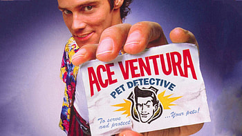 Jim Carrey, Ace Ventura, , Entertaining movie HD wallpaper