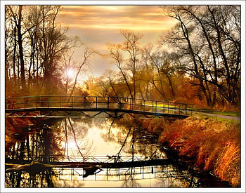 Alsace France by Jean-Michel-Priaux, river, alsace, grapher, landscape, autumn, nature, , france HD wallpaper