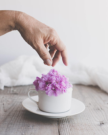 Flowers, Hand, Miscellanea, Miscellaneous, Cup, Aesthetics HD phone wallpaper