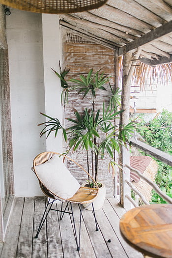 Relaxing sunny balcony with comfortable seating and lush greenery. HD phone wallpaper