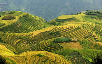 china landscape - Google zoeken HD wallpaper