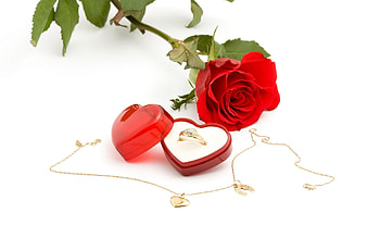 Background, Wedding, Jewelry HD wallpaper