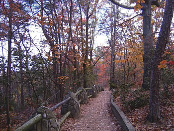 A Trail in Autumn, trees, autumn, trail, leaves HD wallpaper