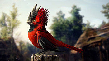 Cgi Bird , birds, cgi, artist, artwork, digital-art HD wallpaper