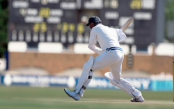 cricket, player, pitch, field HD wallpaper