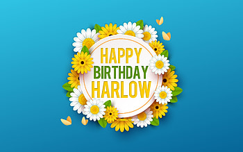 Happy Birtay Harlow, , Blue Background with Flowers, Harlow, Floral Background, Happy Harlow Birtay, Beautiful Flowers, Harlow Birtay, Blue Birtay Background HD wallpaper