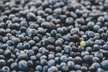 Food, Bilberries, Berries, Lot, Ripe HD wallpaper