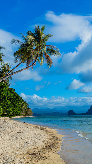 Earthy beauty, Beach paradise, Natural wonders, Stunning landscapes HD phone wallpaper