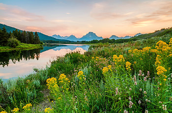 Wildflowers at the lake, hills, meadow, beautiful, grass, spring, serenity, tranquil, mountain, lake, summer, wildflowers, reflection, view, sky, lovely HD wallpaper