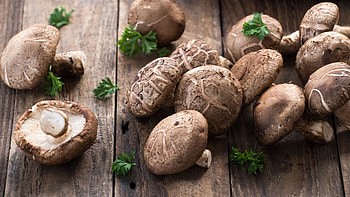 Shiitake , , , Shiitake HD wallpaper