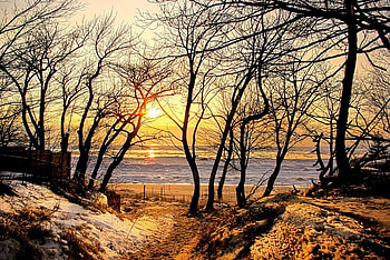 winter sunset, winter, sea, snow, trees, nature, sunset HD wallpaper
