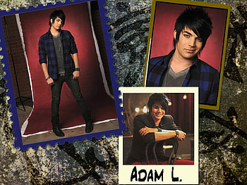adam lambert :D, ol, lolol, lol HD wallpaper