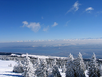 Winter, Nature, Sky, Forest, Switzerland, Ate, Clear, I See HD wallpaper