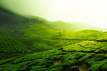 Landscape's charm, Green hills' beauty, , Captivating ry HD wallpaper