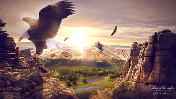 mrsuicidesheep - Google zoeken HD wallpaper
