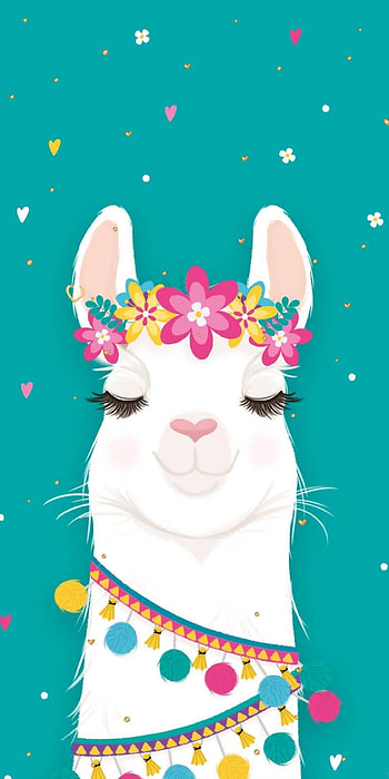 Cute lama , Adorable alpaca smiles, Llamas in cute poses, Cuddly lama love HD phone wallpaper
