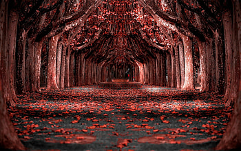 A tunnel of red trees, Leaves, Autumn, Shadows, Trees HD wallpaper