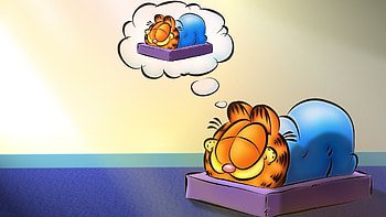 Sleeping, Garfield HD wallpaper