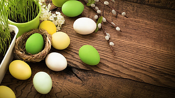 Easter Eggs, wood, Easter, eggs, green HD wallpaper
